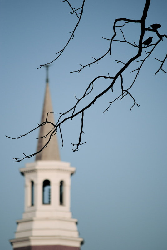 Photo of High Point University's Roberts Hall with birds in foreground (Digital)
